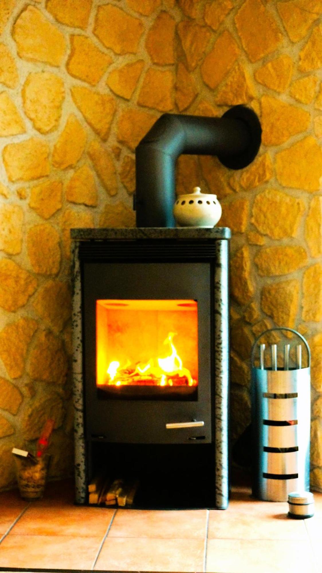 Ferienwohnung Im Wald Mit Kamin Bad Harzburg Exterior photo